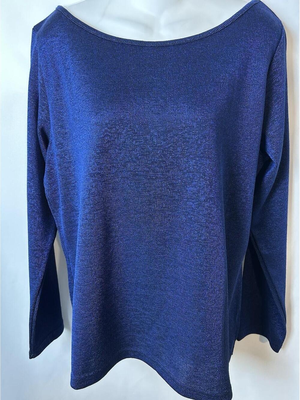 Dress For Success Blue Long Sleeve Top   Size Large   NWT